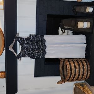 The Limited Sleeveless Lace Dress